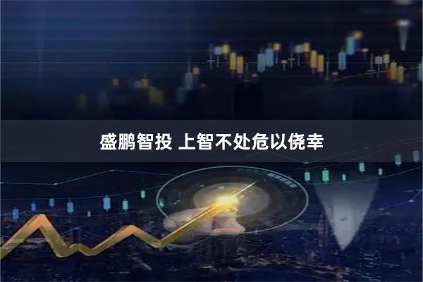 盛鹏智投 上智不处危以侥幸