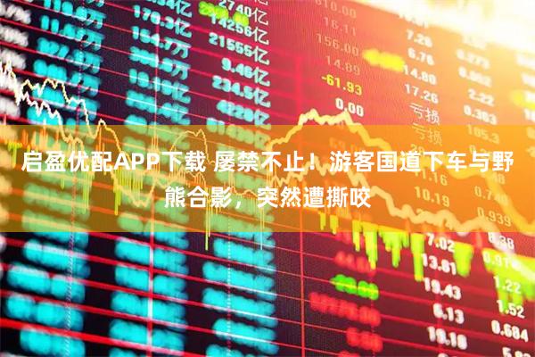 启盈优配APP下载 屡禁不止！游客国道下车与野熊合影，突然遭撕咬